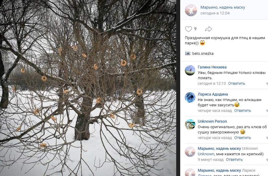 Фото дня: кормушка для птиц из сушек появилась в Марьине